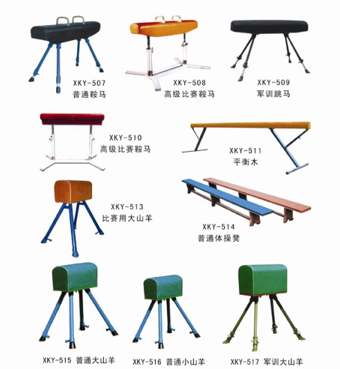体育器材