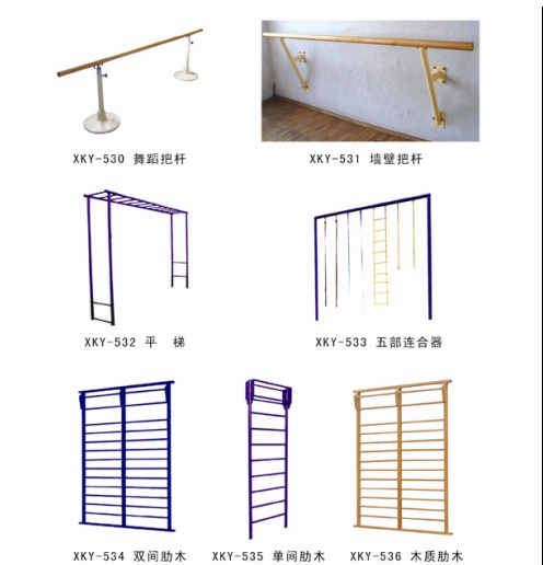 体育器材